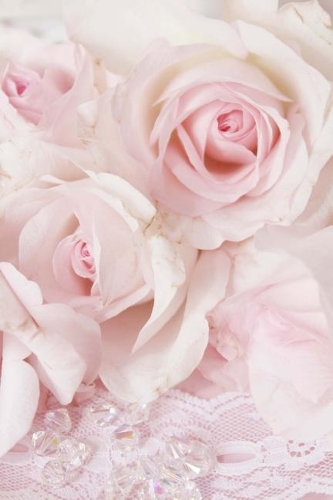 Vintage Pink Roses and Lace Journal: 150 Page Lined Notebook/Diary