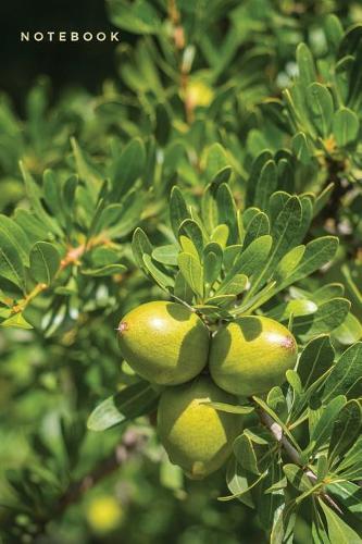 Notebook: Lined Journal Fresh Fruit Tree in Morocco