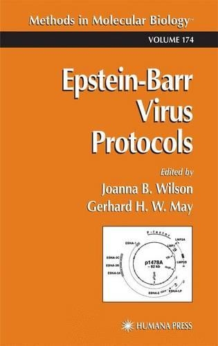 Epstein-Barr Virus Protocols
