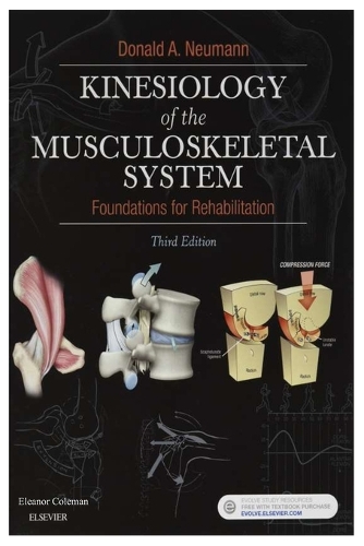 Kinesiology of the Musculoskeletal System
