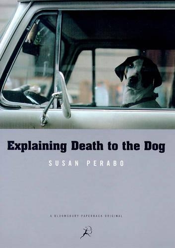 Explaining Death to the Dog