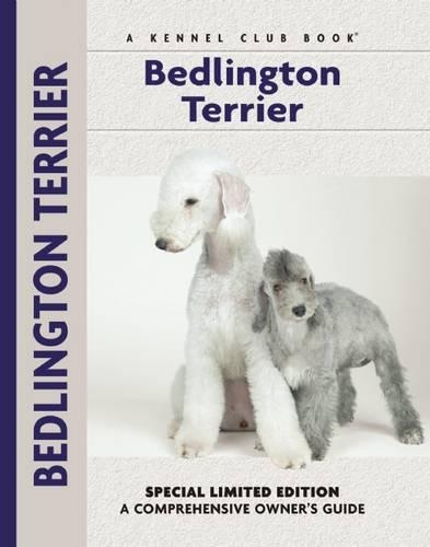 Bedlington Terrier