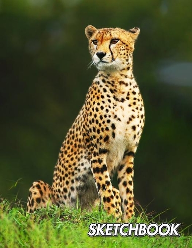 Sketchbook: Cheetah - Acinonyx jubatus - Unlined Notebook 150 Blank Pages 8.5 x 11 in.- Sketchbook - Multi-Purpose - Unruled Journal - Plain Diary - Agenda - Co