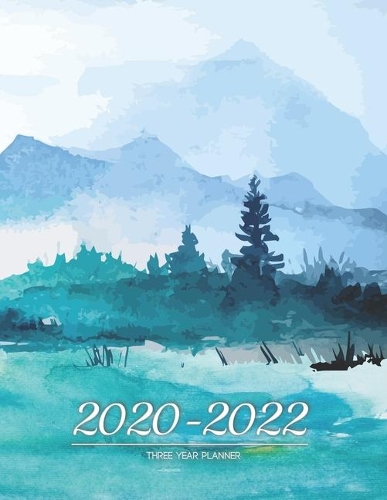 2020-2022 three year planner