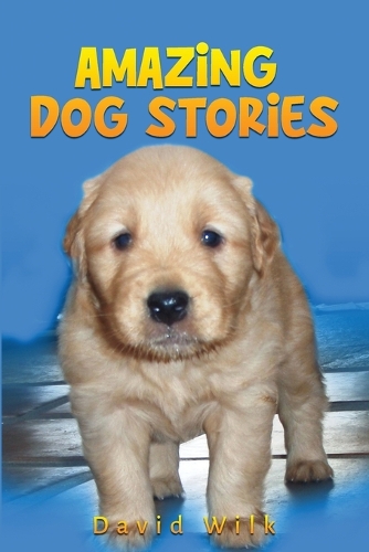 Amazing Dog Stories