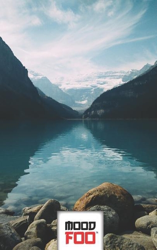 Mood Foo(tm) - Mind Over Mood - Notebook, Log, Journal - Beauty Series - 021