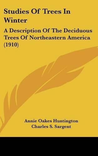 Studies Of Trees In Winter