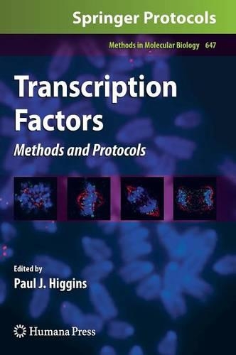 Transcription Factors