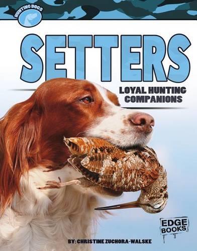 Hunting Dogs Setters Loyal Hunting Companions