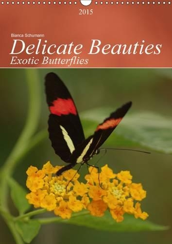Delicate Beauties Exotic Butterflies 2015