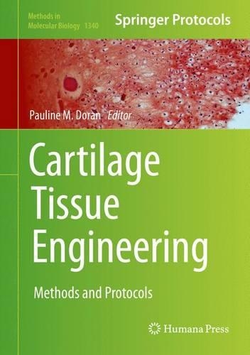 Cartilage Tissue Engineering