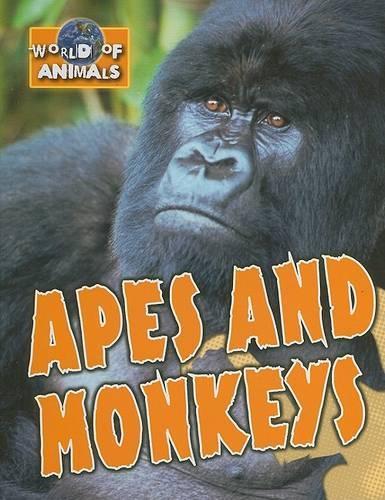 Apes and Monkeys