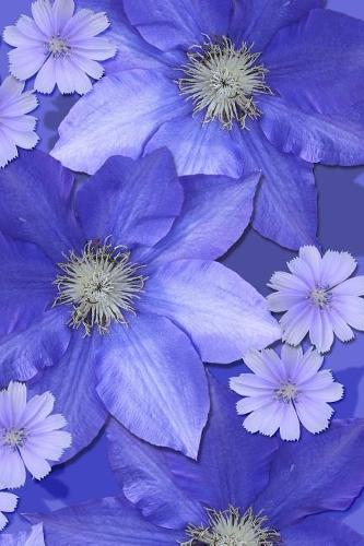 Dotted Journal 6 X 9