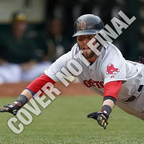 Boston Red Sox Dustin Pedroia 2019 12x12 Player Wall Calendar