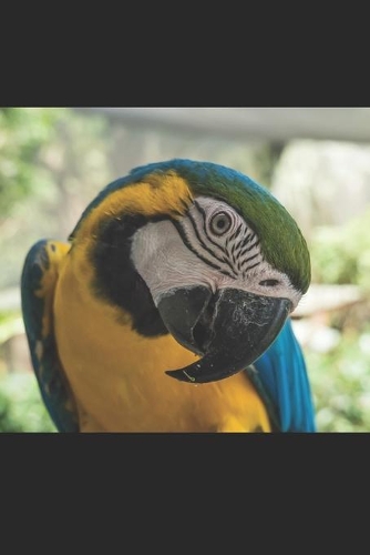 Ara: Notizbuch / Tagebuch Ara Vogel - DIN A5 120 Seiten liniert - Geschenke für Vogelliebhaber Vogelbeobachtung