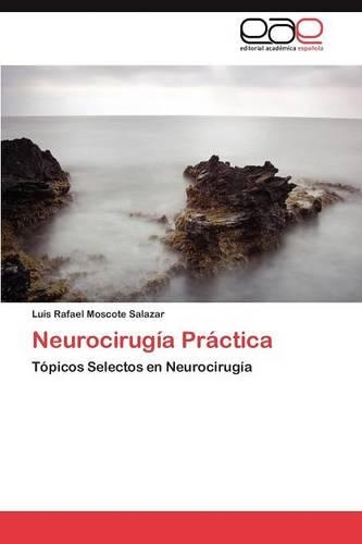 Neurocirugía Práctica: (Spanish)