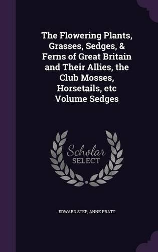 The Flowering Plants, Grasses, Sedges, & Ferns of Great Britain and Their Allies, the Club Mosses, Horsetails, Etc Volume Sedges
