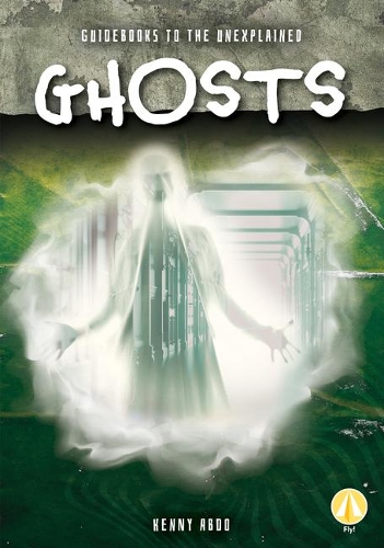 Ghosts: (Guidebooks to the Unexplained)