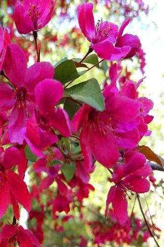 Lovely 2019 Daily Planner Springtime 384 Pages