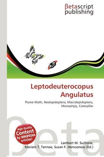Leptodeuterocopus Angulatus