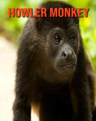 Howler Monkey: Amazing Facts about Howler Monkey