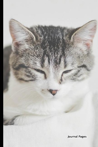 Journal Pages - Dream Kitty (Bullet Journal)