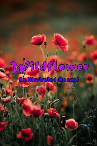 Wildflower