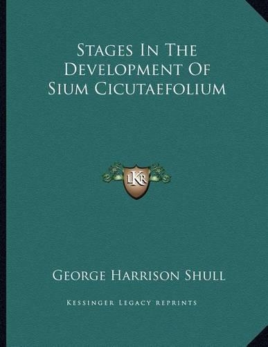 Stages In The Development Of Sium Cicutaefolium