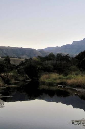 River Reflection: Blank 200 page journal