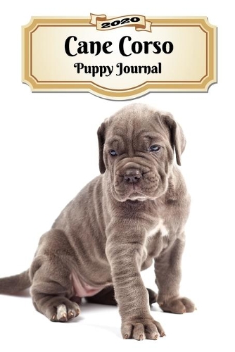 2020 Cane Corso Puppy Journal