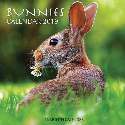 Bunnies Calendar 2019