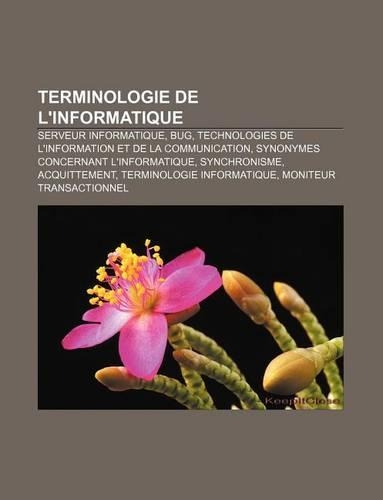Terminologie de L'Informatique: Serveur Informatique, Bug, Technologies de L'Information Et de La Communication(French)