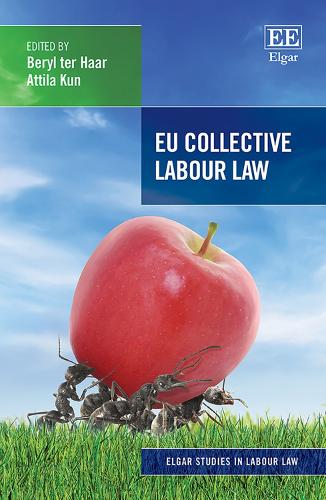EU Collective Labour Law: (Elgar Studies in Labour Law)
