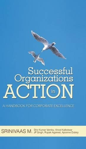 Successful Organizations in Action