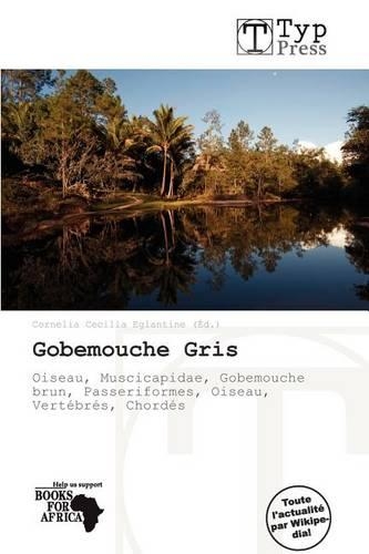 Gobemouche Gris