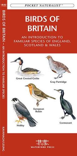 Birds of Britain