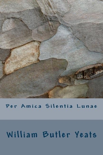 Per Amica Silentia Lunae