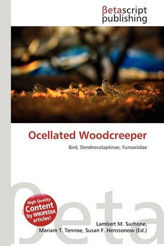 Ocellated Woodcreeper