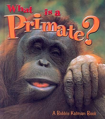 What Is a Primate?: (Science of Living Things (Pb))