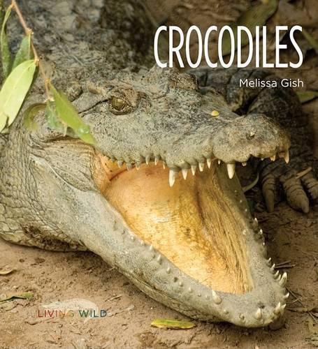 Crocodiles: (Living Wild)