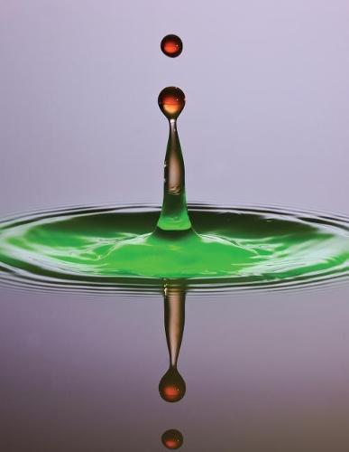 Daily Planner Journal: 365 + Days Bullet Journaling Blank Notebook with sections for date, time, notes, lists & doodles! 8.5 x 11 size, 380 pages + Calendars Drip Drop Wat