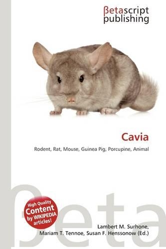 Cavia: (English)