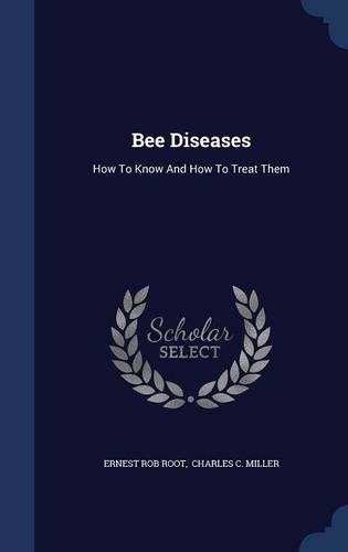 Bee Diseases: How To Know And How To Treat Them