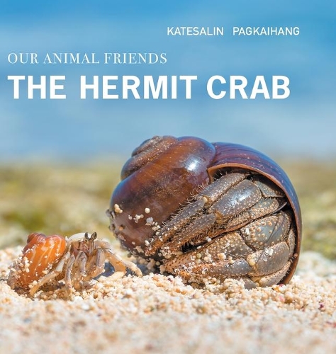 The Hermit Crab