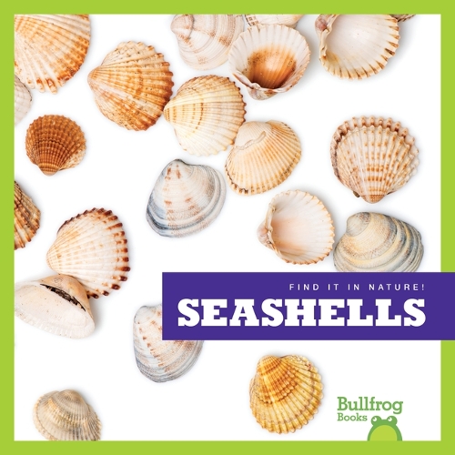 Seashells: (Find It in Nature!)