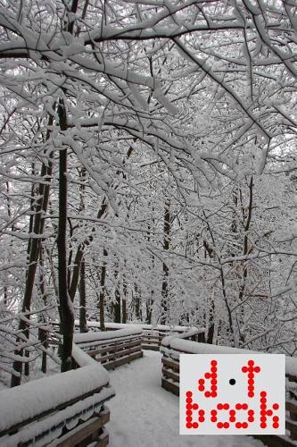 The Dot Book - A Dot Grid Notebook for Graphic Designers - Beauty Series - 031: (31 The Dot Book Beauty)