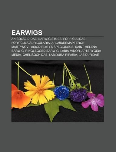 Earwigs