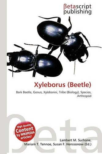 Xyleborus (Beetle)