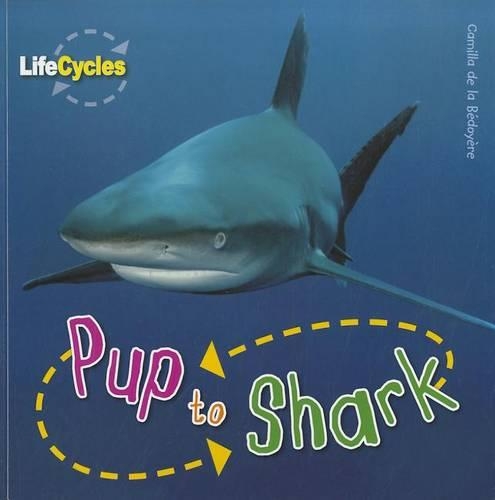 Pup to Shark: (Life Cycles (QEB Publishing))