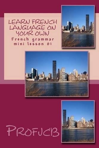 Learn French Language on Your Own: French Grammar Mini Lesson 01(English)